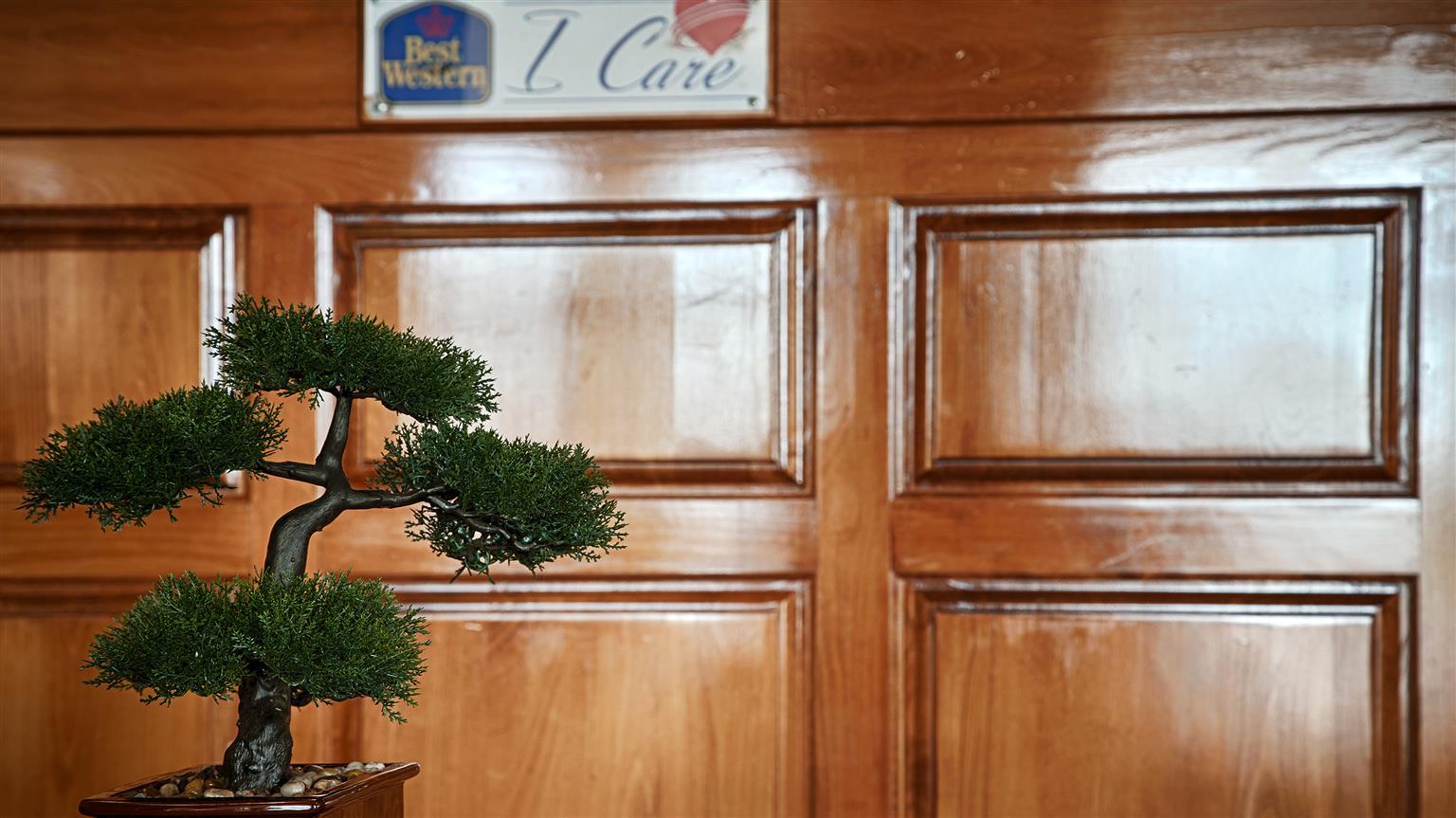 Best Western Montis Inn Saint Robert Zewnętrze zdjęcie